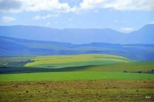 Garden Route 300x200 South African Vacation – South Africa Cape Guide – travel along the garden route