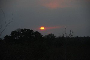 kruger park - Sunset kruger park 300x200 South Africa – South African Tourism Kruger National Park