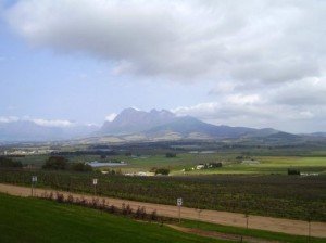 Paarl winery Paarl winery1 300x224 South Africa South African Wineland Region – Paarl