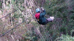 tree top Tour tree top Tour 300x168 South Africa South African Touring sites – Storms River Village